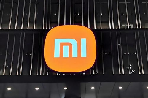 小米汽车上市首日退改订单达469例 背后问题探析与武汉企业网站建设的启示