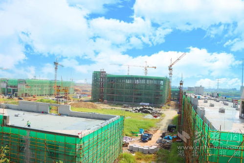 助力武汉城市圈民生同保 首衡集团打造华中最大农产品保供基地