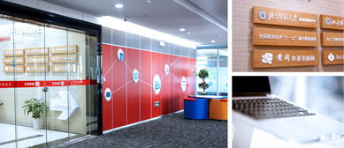 睿创优学与朗迅 品牌策划设计的武汉力量