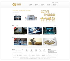 武汉金百瑞科技 专业打造寰世影像企业网站的典范